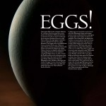 Project 52 Wk 20 EGG - Dark Egg A