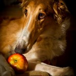 terrijacobson_wk48