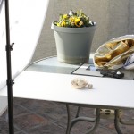 setup-b Vertical Light Panel creates more shadow to the front of the shells as the light is not seen from that position.