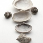 small-six-shells-vertical A vertical composition to test spatial relationships
