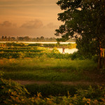 Kolkata-9104-Edit