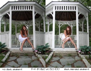No Flash / Flash side by side: Using a tiny amount of flash to add a little sparkle to the image.