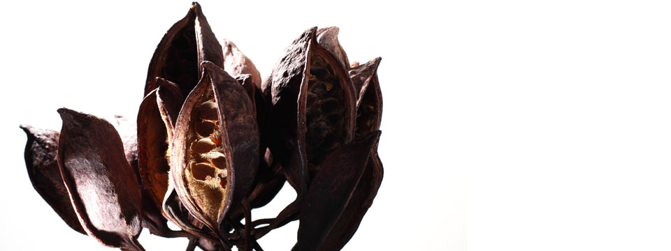 Improvisation with Pods… Lighting for Dramatic Effect