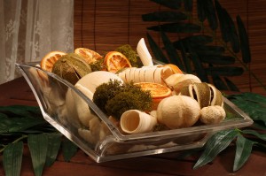 Catalog Shot of Potpourri for a catalog for a fragrance and candle importer