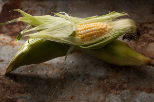 corn-163