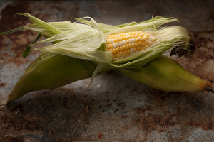 corn-166
