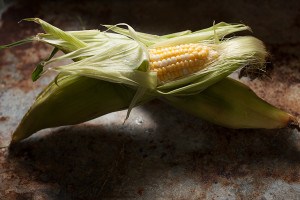corn-167