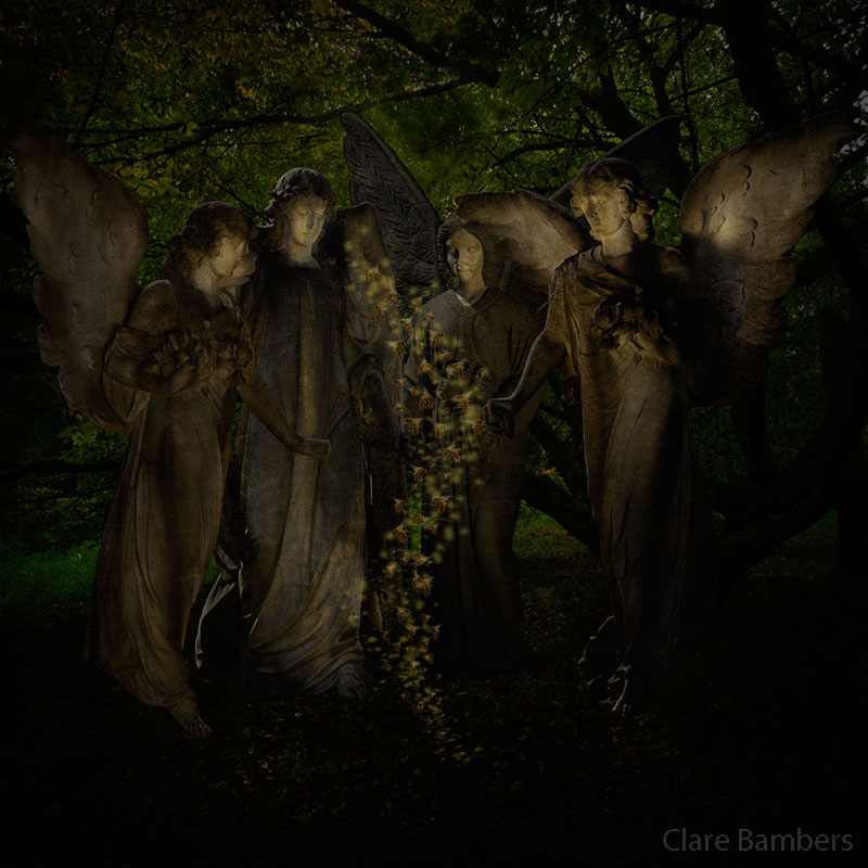 Black Angels: with Clare Bambers