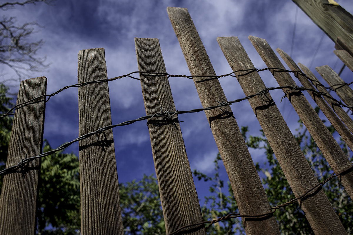 fence