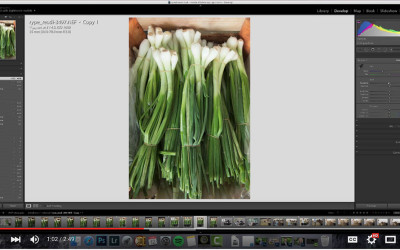 March Madness 15: Introduction to a Lightroom Edit