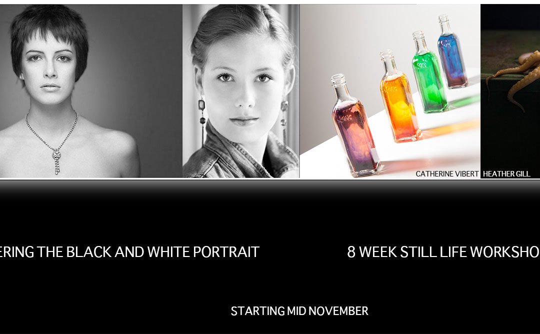 Two Workshops in November: Portrait and Still Life