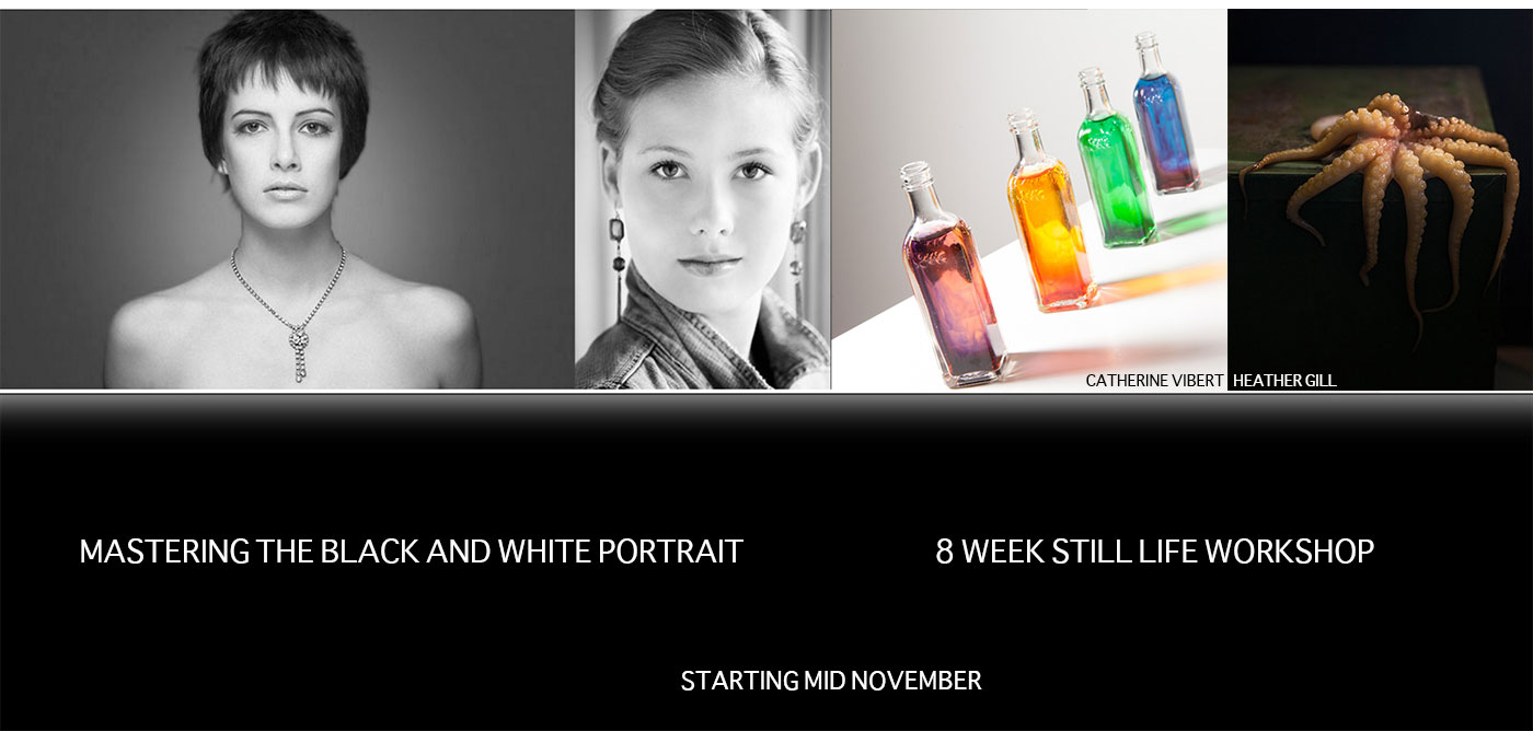 Two Workshops in November: Portrait and Still Life