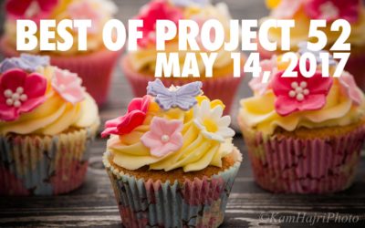 Best of Project 52: May 14th, 2017 Edition