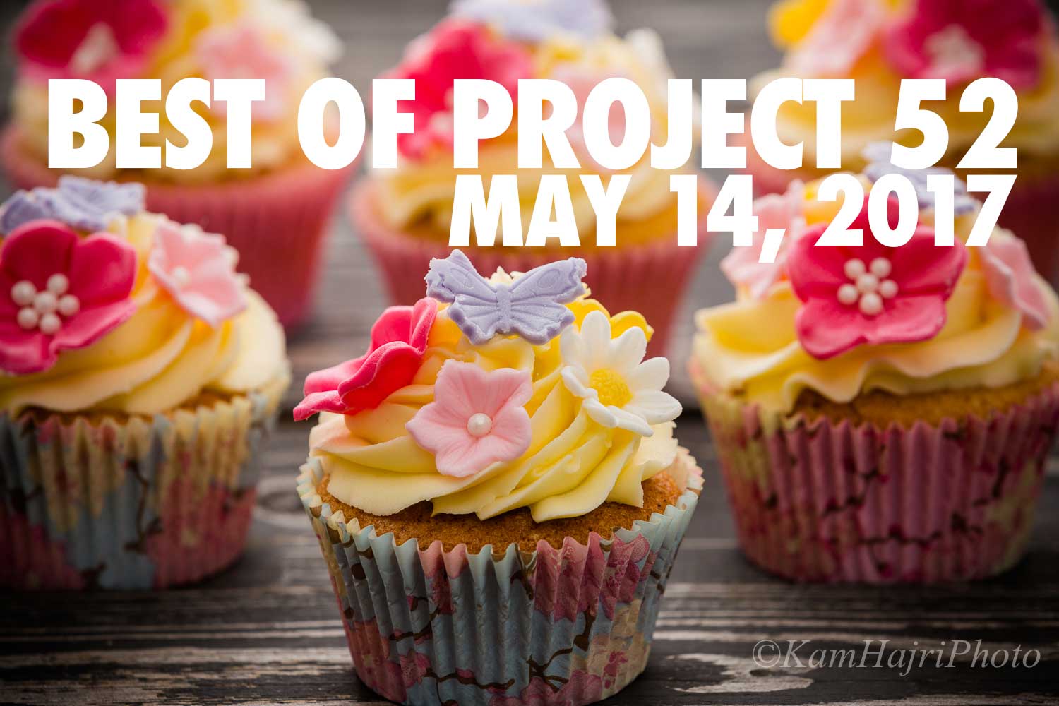 Best of Project 52: May 14th, 2017 Edition
