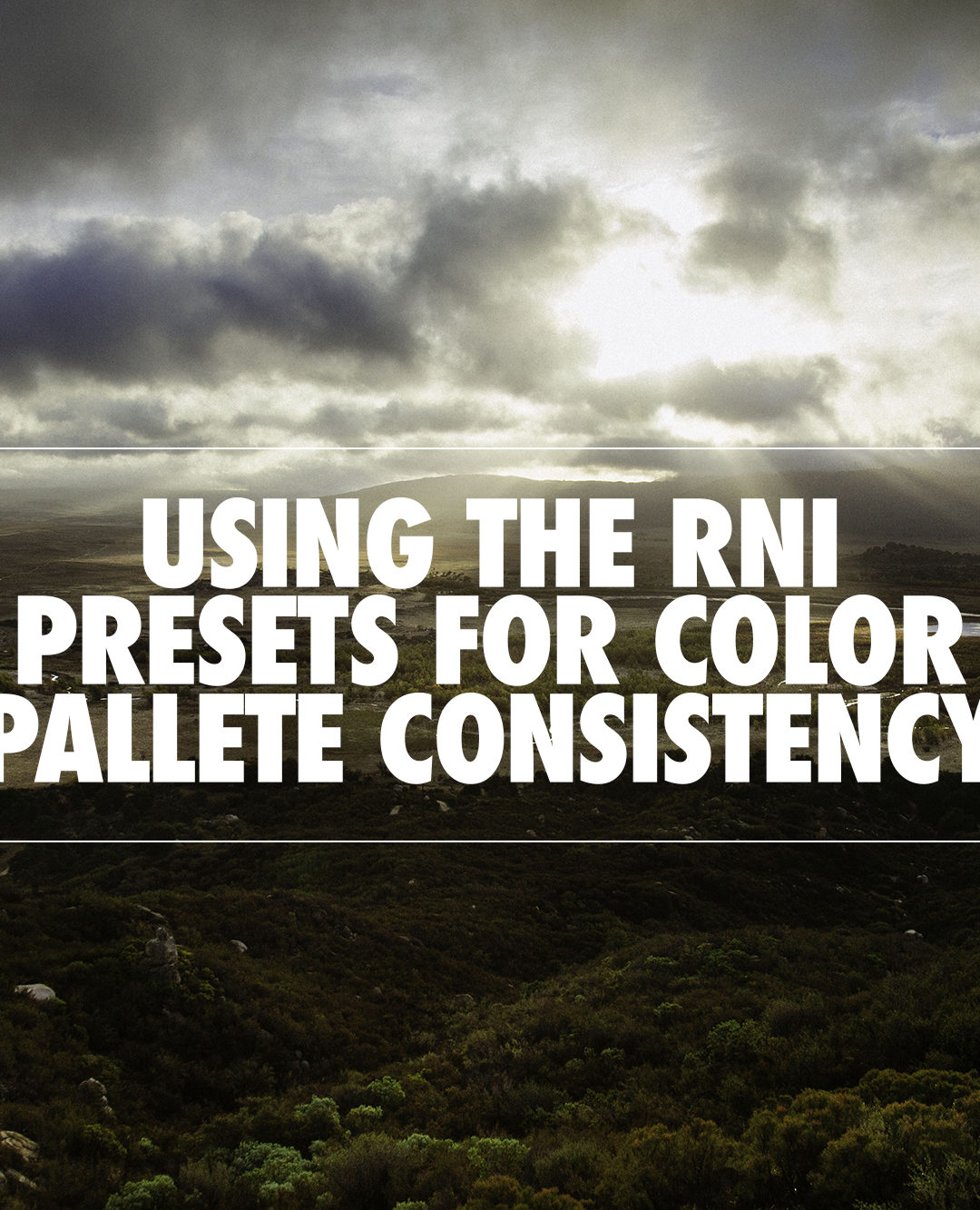 Using the RNI Presets for Color Palette Consistency