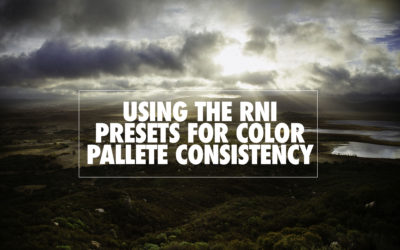 Using the RNI Presets for Color Palette Consistency