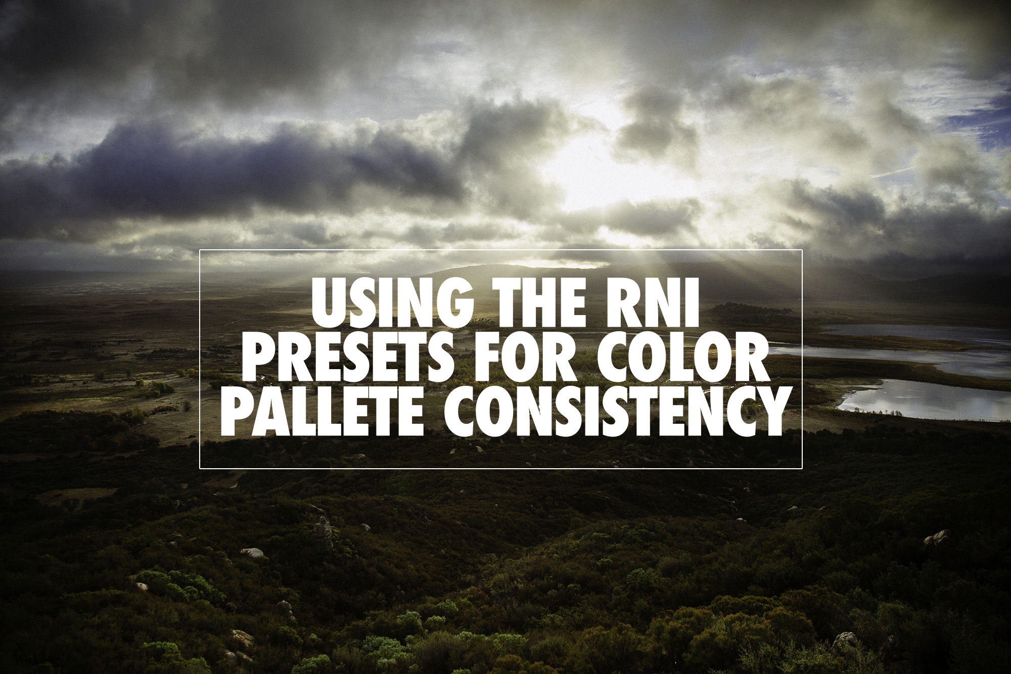 Using the RNI Presets for Color Palette Consistency