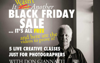 BLACK FRIDAY IS FREE at Lighting Essentials