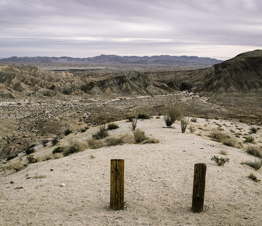In Search Of…