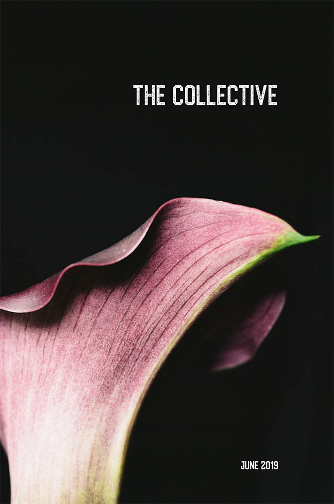 THE COLLECTIVE LOOKBOOK OF PHOTOGRAPHERS