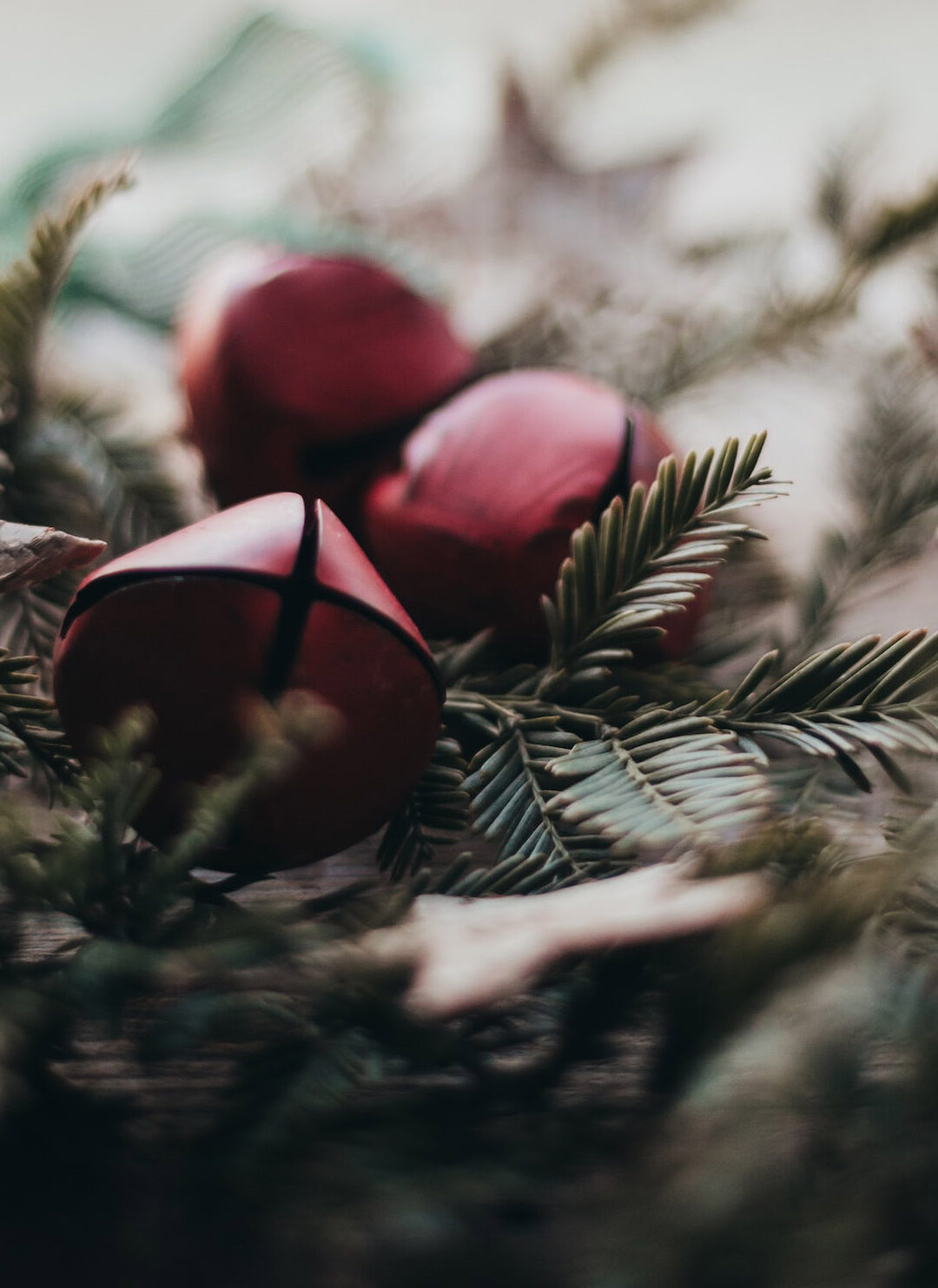 The Holiday Flash Assignment for All Members
